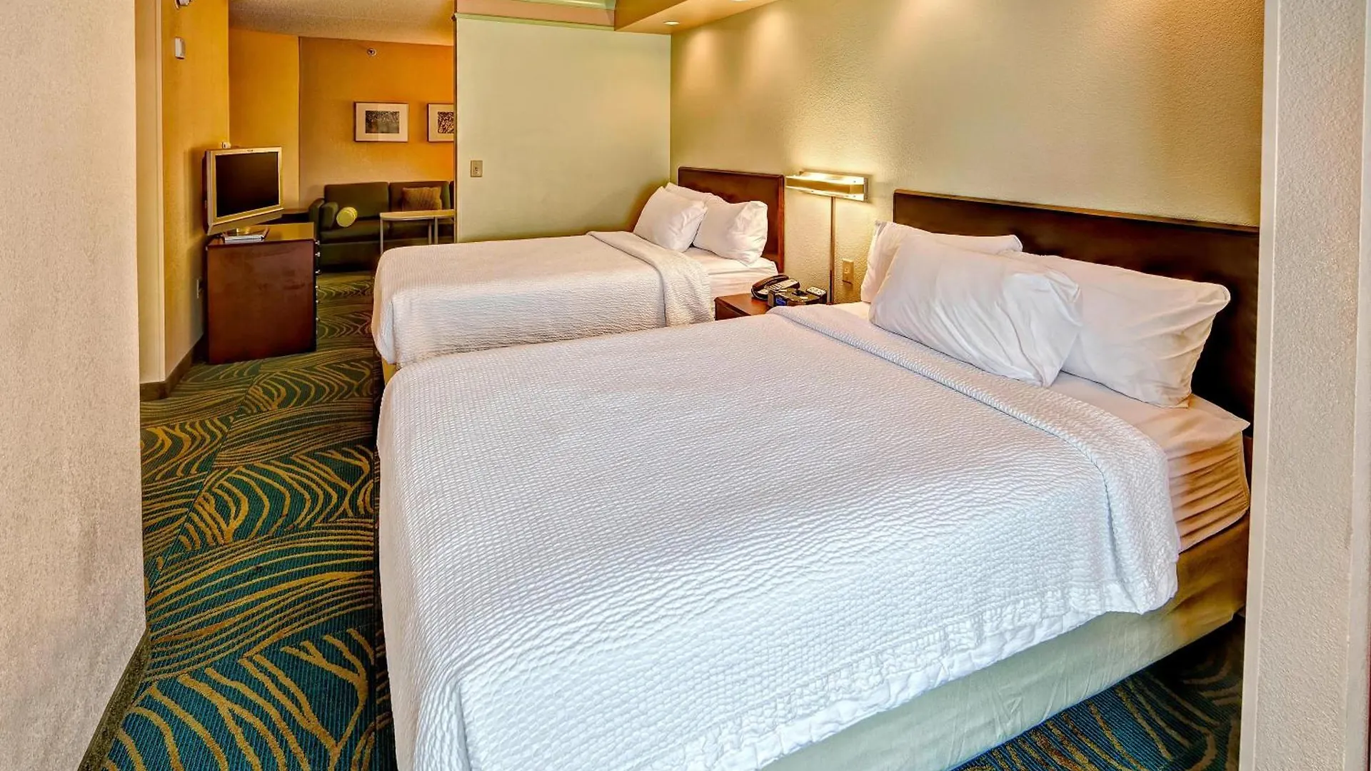Springhill Suites Norfolk Old Dominion University 3*,  USA